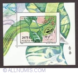 Image #1 of 2075 Lei - PLANT FISH DANUBE DELTA 1994