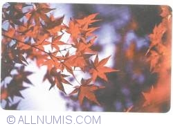 Image #1 of BulFon 2005 - Leafes