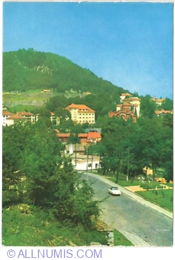 Image #1 of Anina
