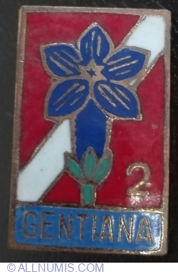 Gentiana 2