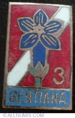 Gentiana 3
