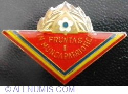 Image #1 of Fruntas I in Munca Patriotica
