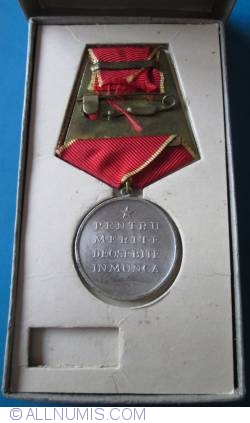 Outstanding work - merit in work medal