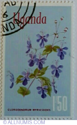 1'50 Shilling 1969 - Butterfly Bush (Clerodendrum myricoides)
