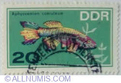 20 Pfennig 1966 - Blue Gularis (Aphyosemion coeruleum)