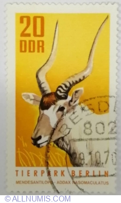 20 Pfennig 1970 - Addax (Addax nasomaculatus)