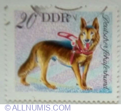 20 Pfennig 1976 - German Shepherd (Canis lupus familiaris)