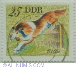 25 Pfennig 1976 - Collie (Canis lupus familiaris)