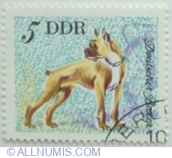 5 Pfennig 1976 - German Boxer (Canis lupus familiaris)