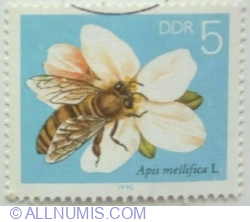 5 Pfennig 1990 - Honey Bee (Apis mellifica), Apple Blossom