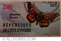 Image #1 of 250 Francs 2013 - Hesperia Comma - Illegal Issue