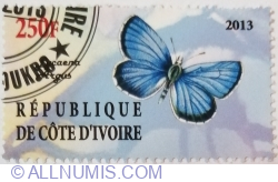Image #1 of 250 Franci 2013 - Lycaena Argus - Illegal Issue