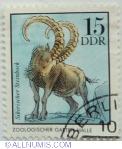 15 Pfennig 1975 - Siberian Ibex (Capra sibirica)