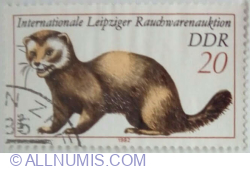 20 Pfennig 1982 - European Polecat (Mustela putorius)