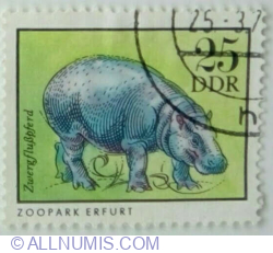 25 Pfennig 1975 - Pygmy Hippopotamus (Choeropsis liberiensis)