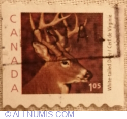 Image #1 of 1,05 Dolar 2000 - White-tailed Deer (Odocoileus virginianus) - coil stamp