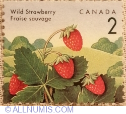 Image #1 of 2 Cent 1992 - Wild Strawberry (Fragaria vesca)