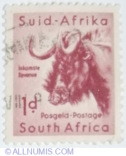 1 Penny 1954 - Black Wildebeest (Connochaetes gnou)