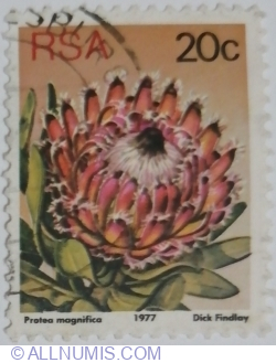 20 Cents 1977 - Queen Protea (Protea magnifica)
