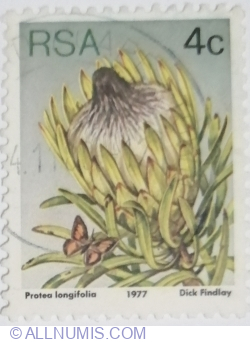 Image #1 of 4 Cents 1977 - Long-leaf Sugarbush (Protea longifolia)