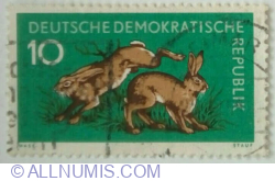 Image #1 of 10 Pfennig 1959 - European Hare (Lepus europaeus)