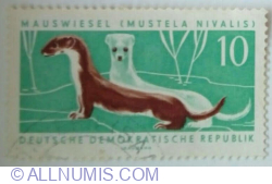 Image #1 of 10 Pfennig 1962  - Least Weasel (Mustela nivalis)