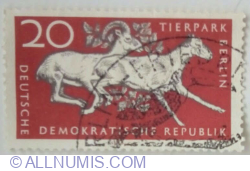 Image #1 of 20 Pfennig 1956 - Urial (Ovis ammon vignei)