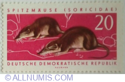 Image #1 of 20 Pfennig 1962 - Common Shrew (Sorex araneus)