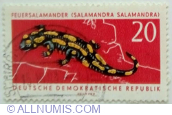 Image #1 of 20 Pfennig 1963 - Banded Salamander (Salamandra salamandra terrestris)