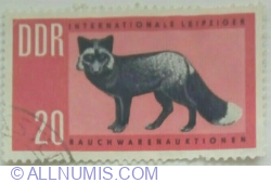 Image #1 of 20 Pfennig 1963 - Silver Fox (Vulpes vulpes argentatus)