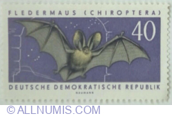 40 Pfennig 1962 - Brown Long-eared Bat (Plecotus auritus)