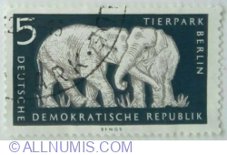 Image #1 of 5 Pfennig 1956 - Asian Elephant (Elephas maximus)