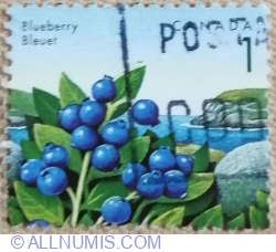1 cent 1992 - Blueberry