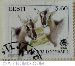 3,60 Kroon 2000  - Long-tailed Goral (Naemorhedus caudatus)