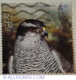 Image #1 of 4,40 Kroon 2005 - Goshawk (Accipiter gentilis)