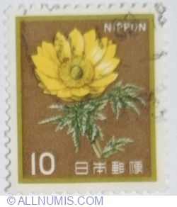 10 Yen 1982 - Adonis (Adonis Amurensis
