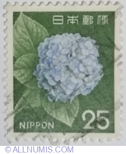 25 yen 1972 - Hydrangea (Hydrangea sp.)