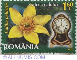Image #1 of 1.60 Lei - Calcea calului (Caltha palustris)