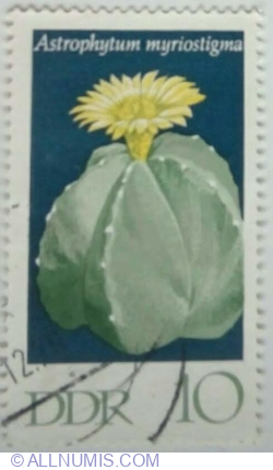10 Pfennig 1970 - Bishop's Cap Cactus (Astrophytum myriostigma)