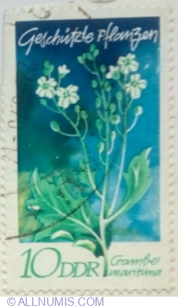 10 Pfennig 1970 - Sea Kale (Crambe maritima)