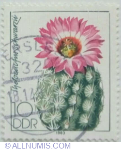 10 Pfennig 1983 - Thelocactus schwarzii