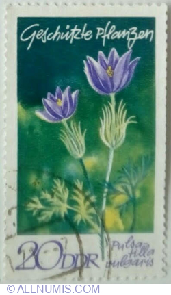 20 Pfennig 1970 - Pasqueflower (Pulsatilla vulgaris)