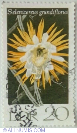 20 Pfennig 1970 - Queen of the Night (Selenicereus grandiflorus)