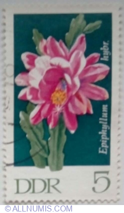 5 Pfennig 1970 - Orchid Cactus (Epiphyllum hybrid)