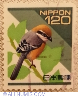 120 Yen 1998 - Bull-headed Shrike (Lanius bucephalus)