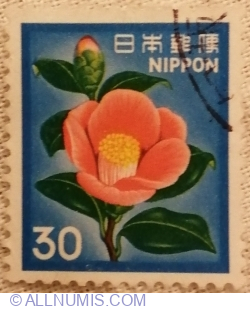 30 Yen 1980 - Camellia