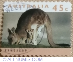 45 cent 1994 - Eastern Grey Kangaroo (Macropus giganteus)
