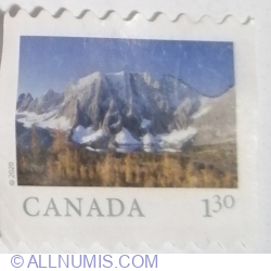 1,30 Dollar 2020 - Kootenay National Park, British Columbia