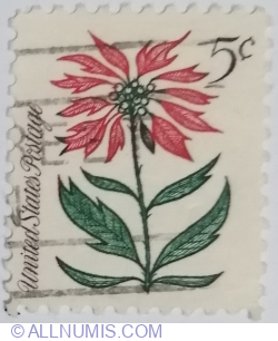 5 Cent 1964 - Poinsettia (Euphorbia pulcherrima)