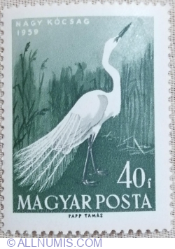 40 Fillér 1959 - Great Egret (Ardea alba)
